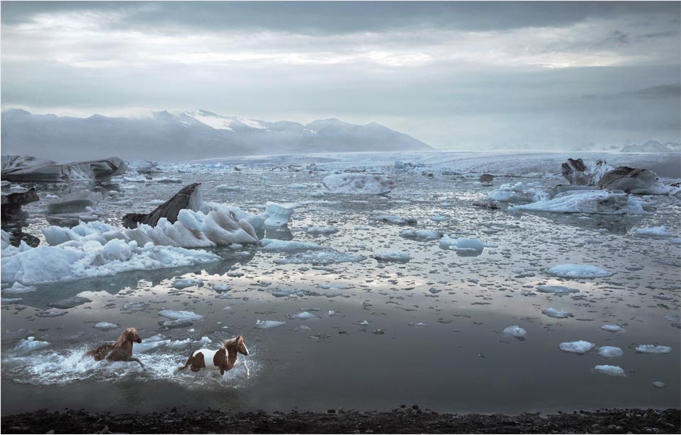Horses Of Iceland Lagoon @Tim Flach